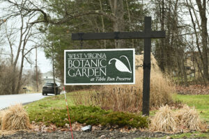What’s Blooming at the WVBG?